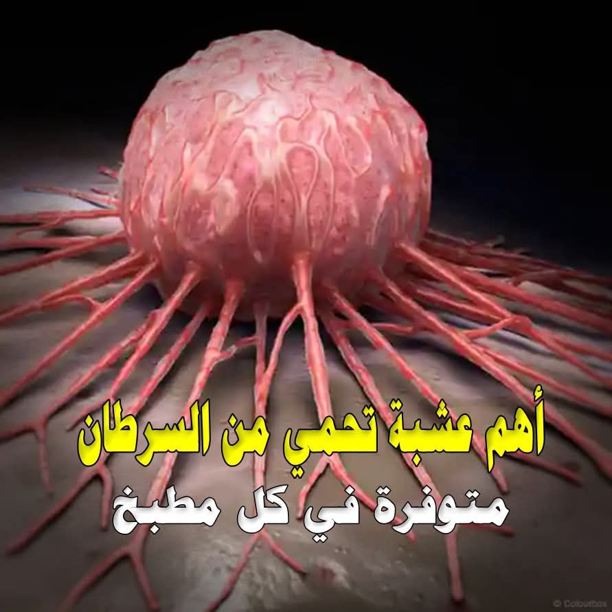 طبيب روسي يكشف عن أهم عشبة تحمي من السرطان موجودة في كل مطبخ