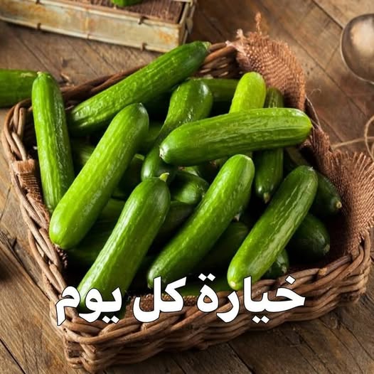 لماذا يجب علينا أن نأكل خيارة يوميا 13 سبباً تكفي لإقناعك